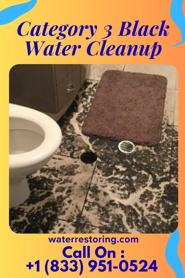 Category 3 Black Water Cleanup in Truman, MN