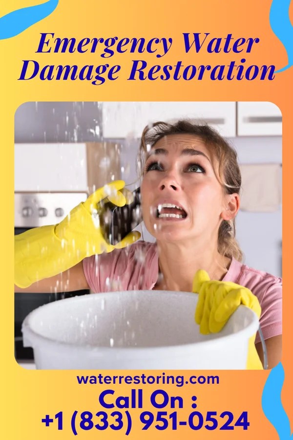 Emergency Water Damage Restoration in Truman, MN