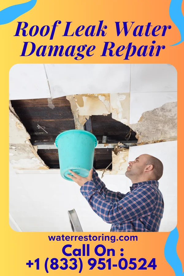 Roof Leak Water Damage Repair in Truman, MN
