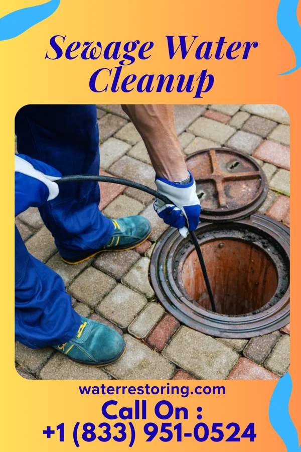 Sewage Water Cleanup in Truman, MN